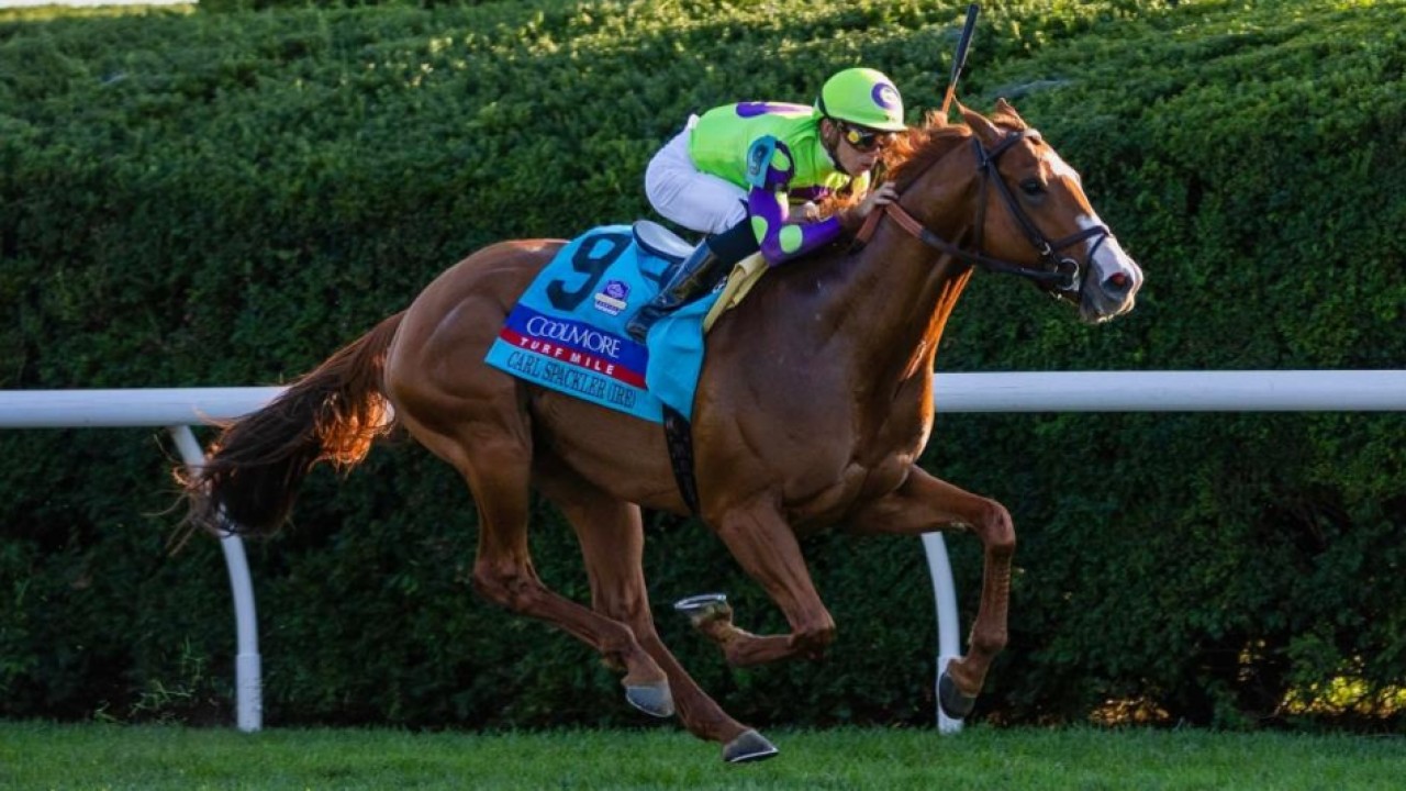 International Stars Primed For Royal Ascot Glory Image 1