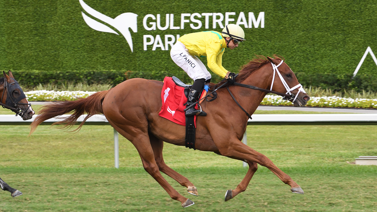 Wathnan Swoops For Ascot-Bound Juvenile Image 1