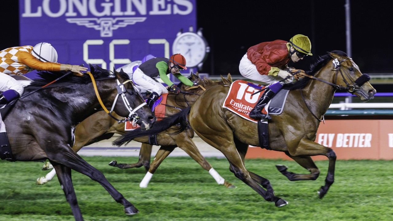 Scott Eyes International Glory With Ascot Hopeful Image 1