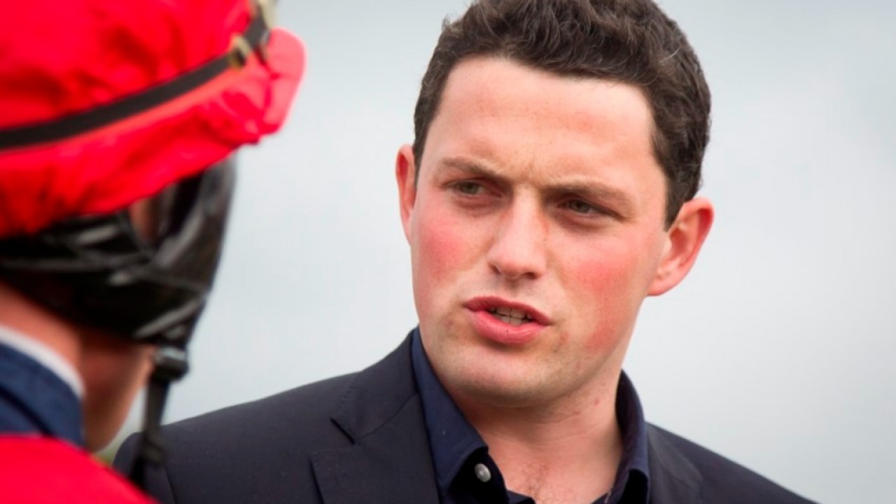 Ninth Crusade Shows Royal Promise After Wolverhampton ... Image 1