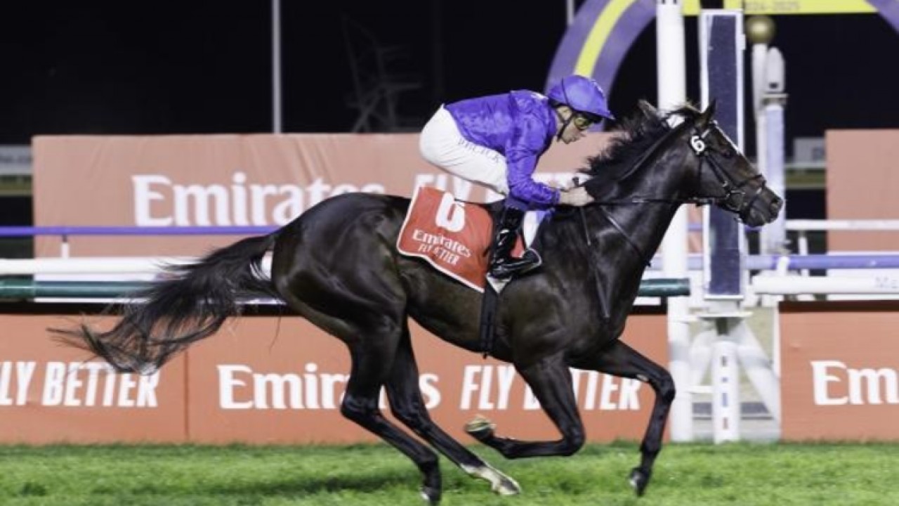 Triple Classic Winners Set For Royal Showdown Image 1