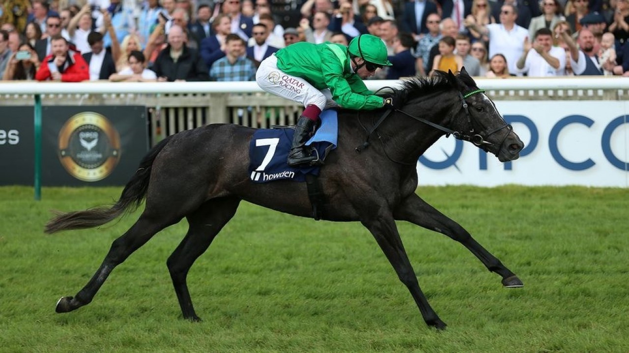 Running Lion Eyes Duke Of Cambridge Repeat Image 1