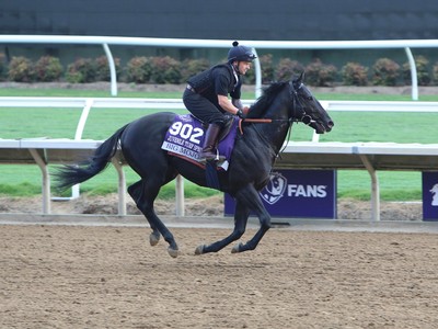Appleby Plotting Royal Ascot Image 1