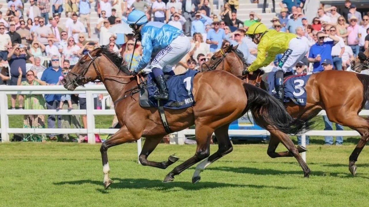 Botti Weighs Ascot And July Cup Options Image 1