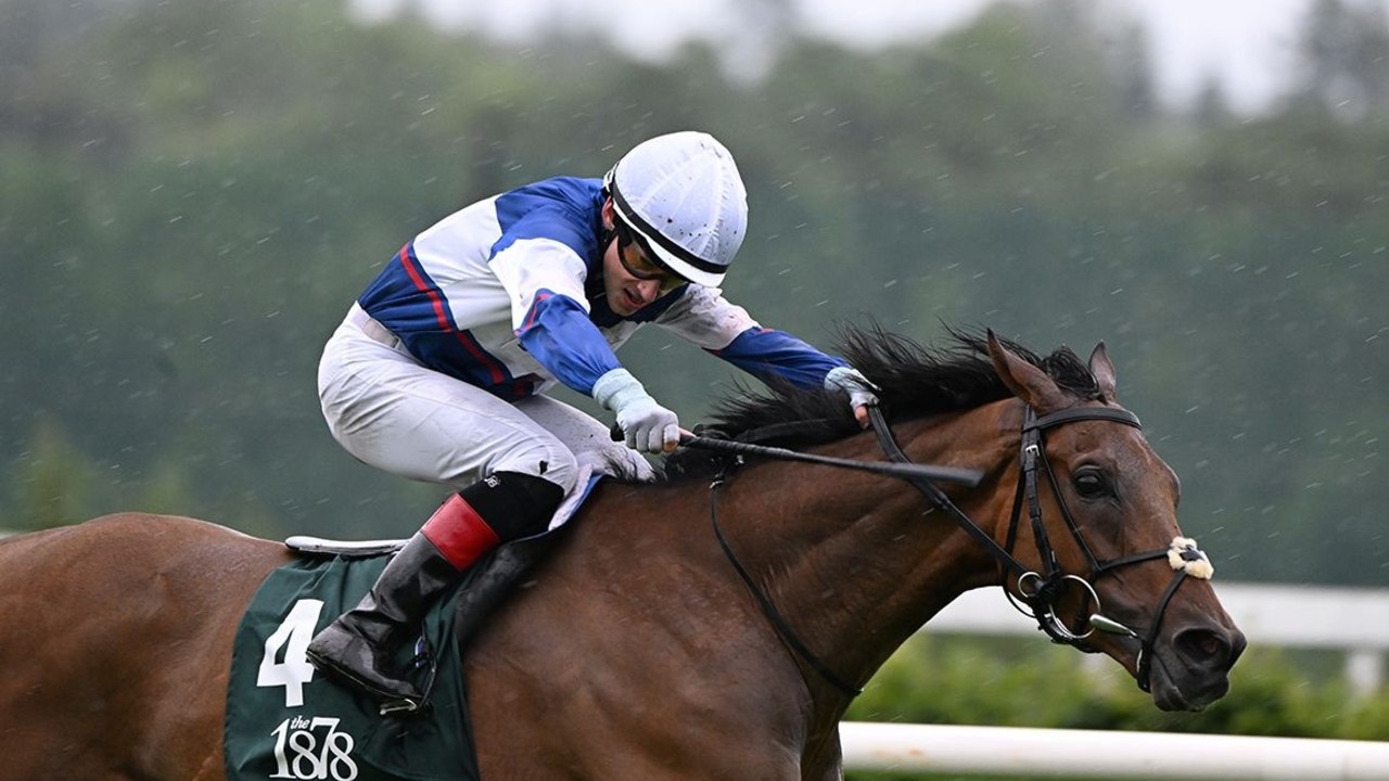 Masoun Powers Through For Leopardstown Victory Image 1