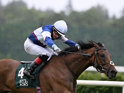 Masoun Powers Through For Leopardstown Victory Image 1