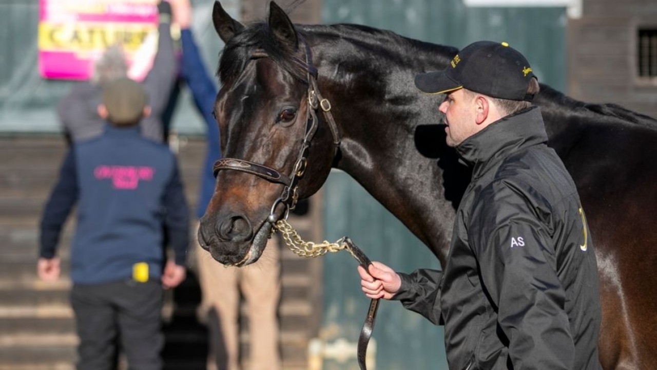 Elite Prospects Target Royal Ascot Success Image 1