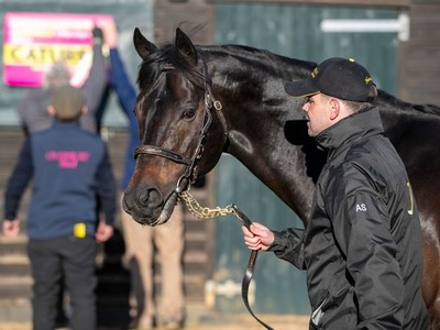 Elite Prospects Target Royal Ascot Success Image 1