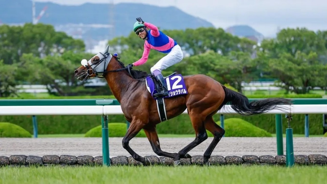 Meisho Tabaru Claims Takarazuka For Breeders' Cup Image 1