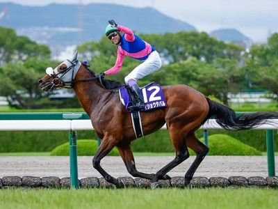 Meisho Tabaru Claims Takarazuka For Breeders' Cup Image 1