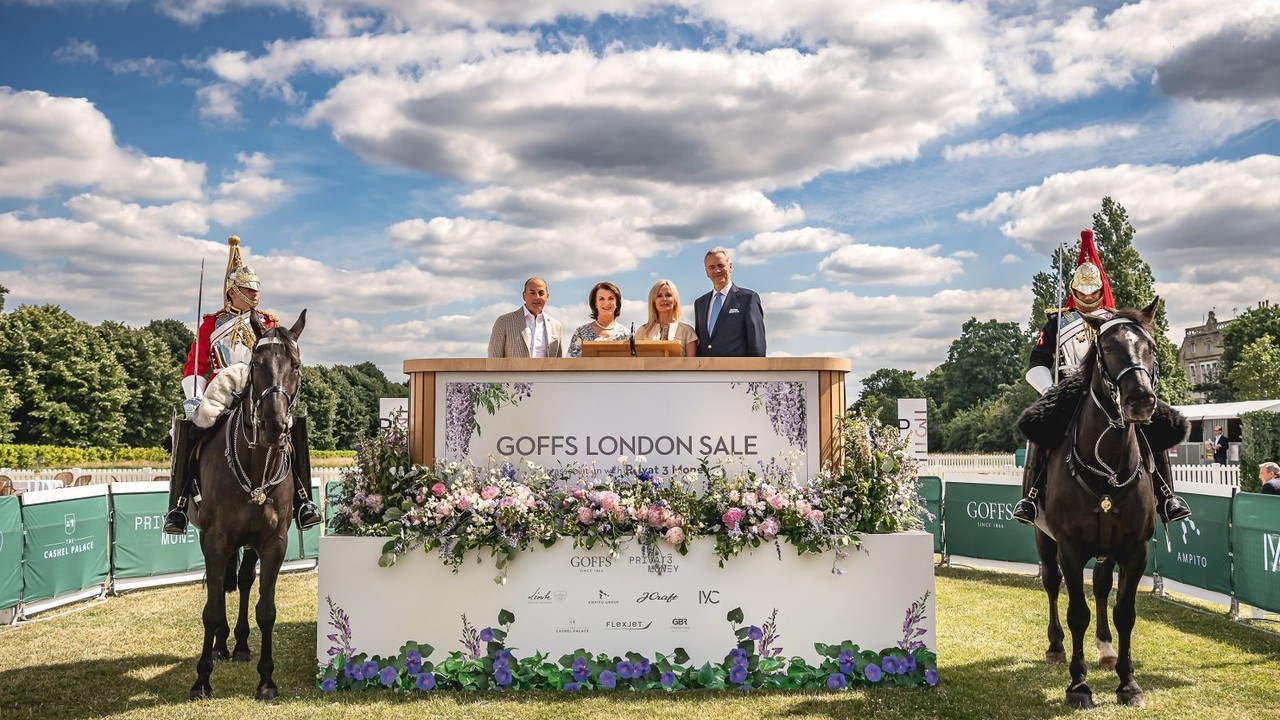 European Stayers Attract Australian Investment At Goffs Image 1