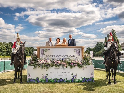 European Stayers Attract Australian Investment At Goffs Image 1