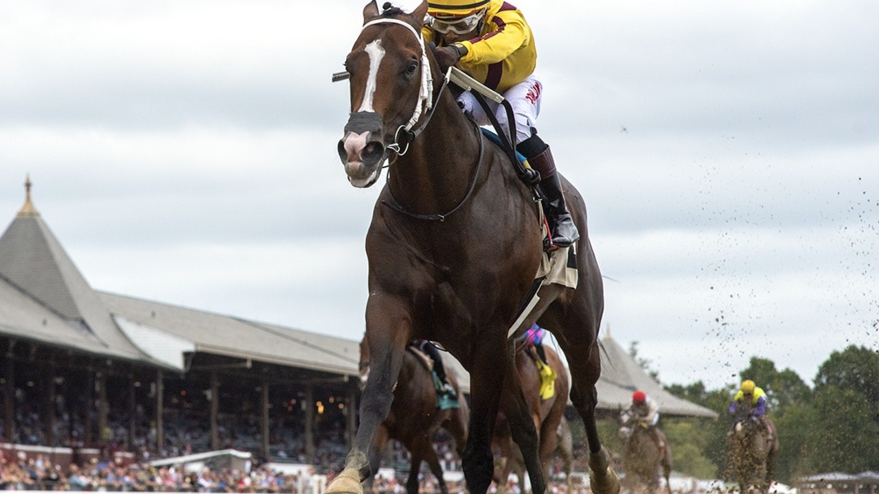 Beau Liam Colt Equals OBS Record Image 1