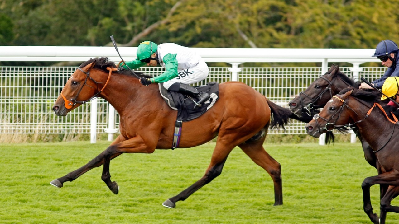 Wolferton Stakes Delivers Listed-Level Drama Image 2