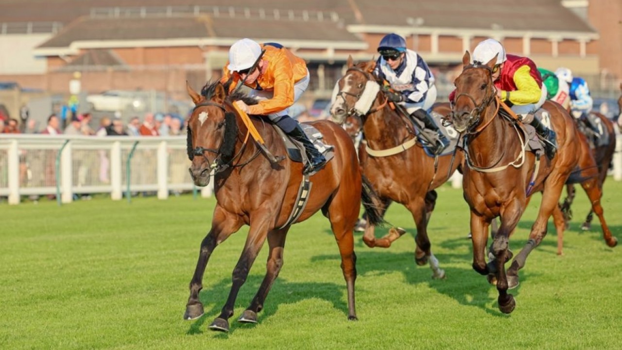 Group Three Success Beckons In Staying Test Image 2