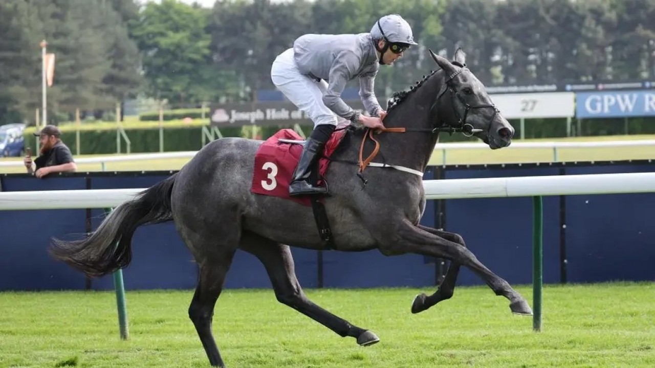 Royal Ascot Day Two: Tattersalls Gold Cup Heroes Clash Again Image 2