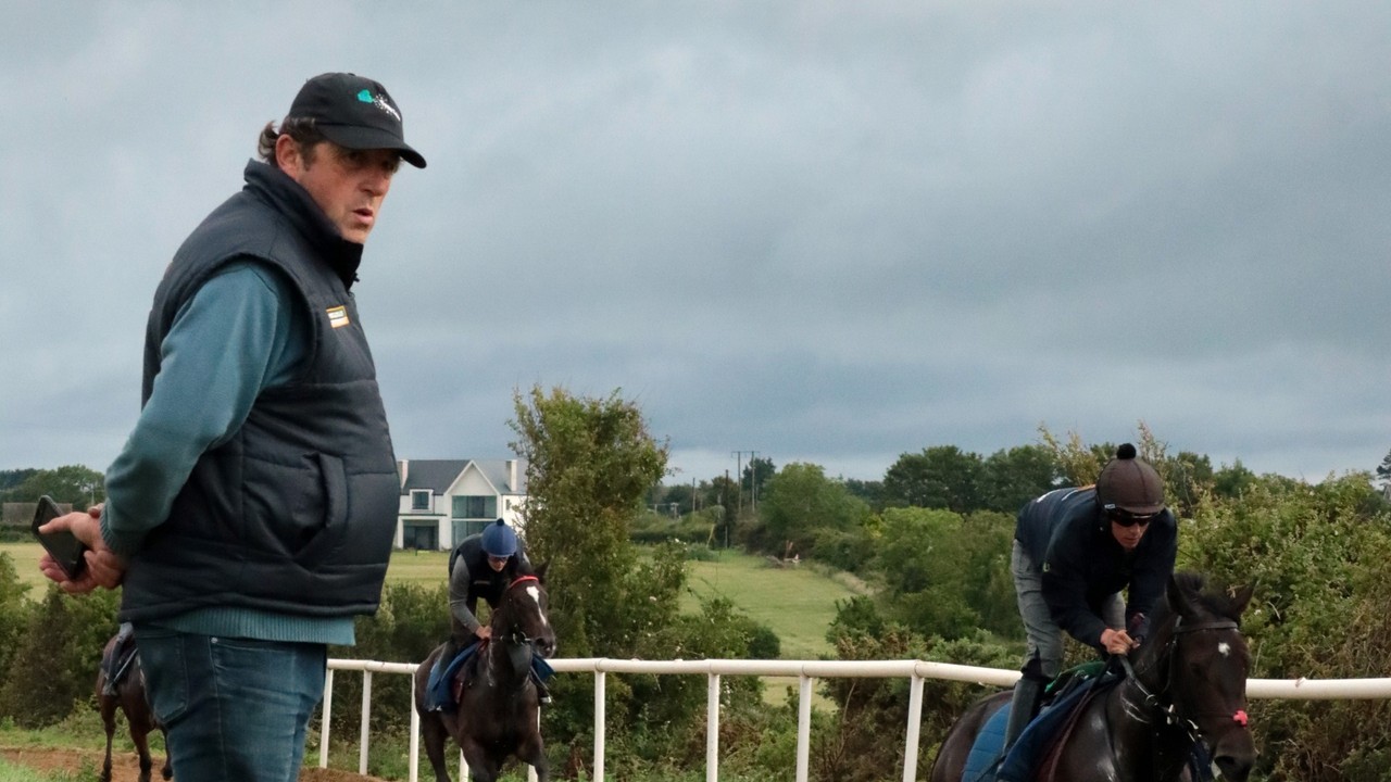 Ado Mcguinness On Travelling His Horses To The Middle East: ... Image 2