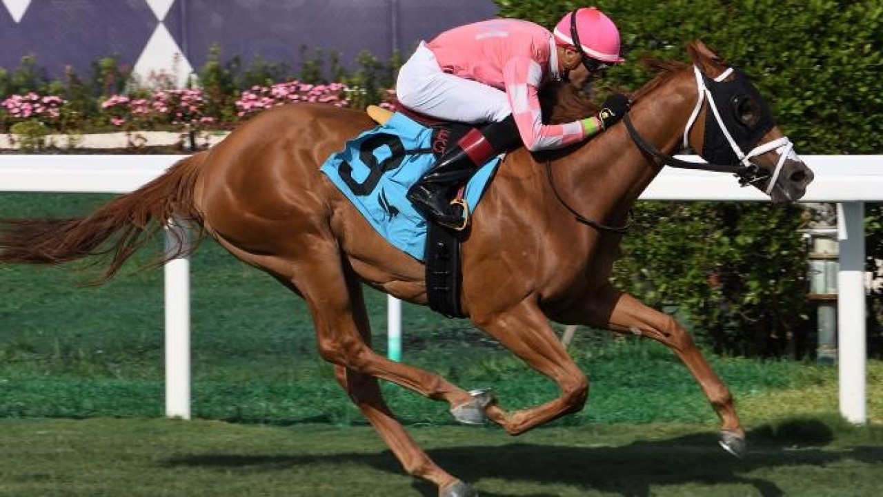 Duke Of Cambridge Stakes Elite Fillies' Clash Image 1