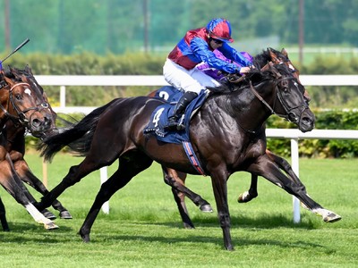 Prince Of Wales's Stakes Attracts Stellar Rematch Image 1
