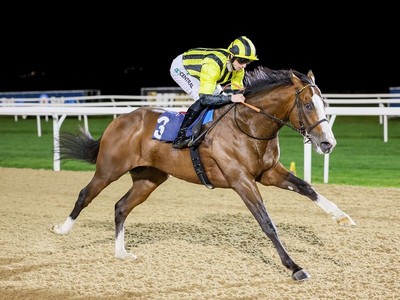 Royal Hunt Cup Attracts Competitive Field Image 1