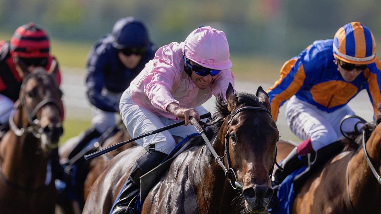 Royal Hunt Cup Attracts Competitive Field Image 1