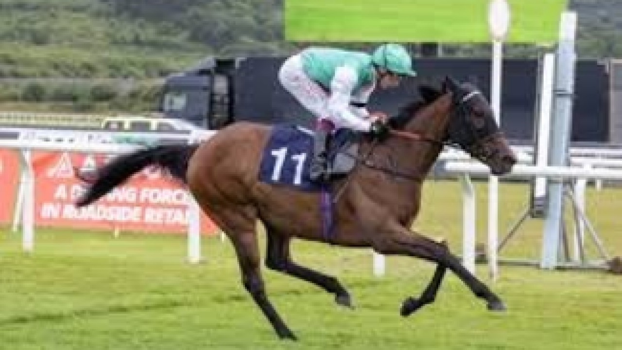 Kensington Palace Stakes Attracts Competitive Field Image 1