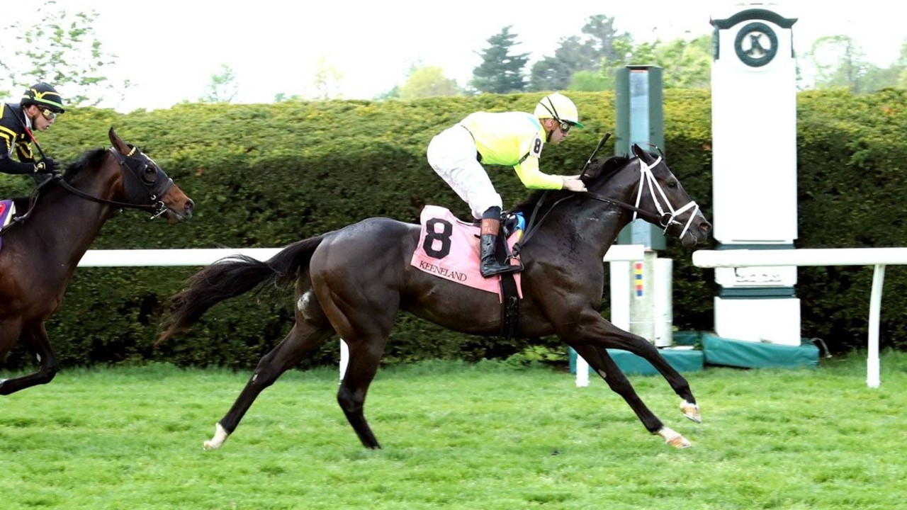 Windsor Castle Stakes Provides Fitting Finale Image 1