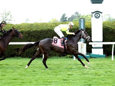 Windsor Castle Stakes Provides Fitting Finale Image 1