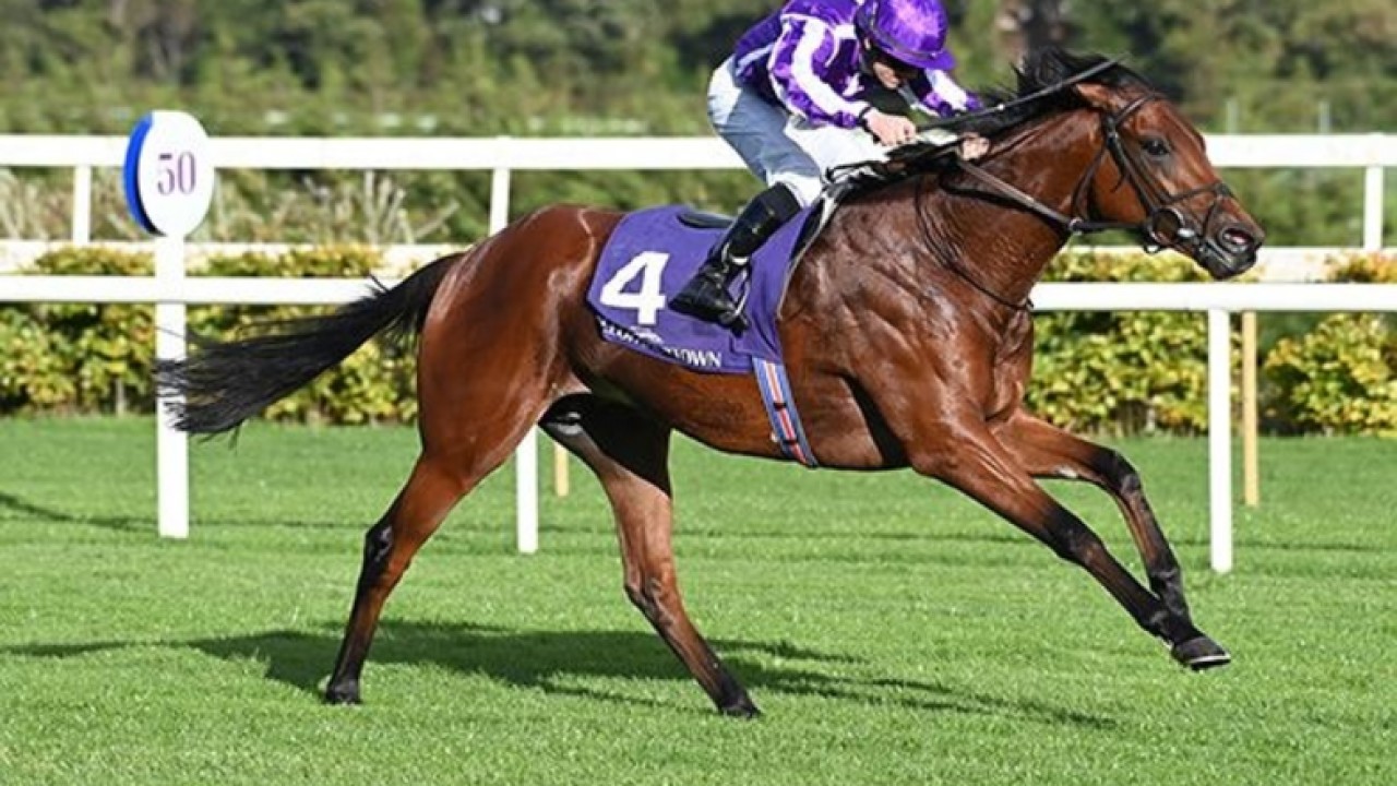 Dubai Graduates Target Royal Ascot Glory Image 1