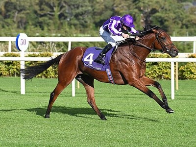 Dubai Graduates Target Royal Ascot Glory Image 1