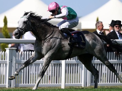 Royal Ascot Opening Day Delivers Stunning Drama Image 1