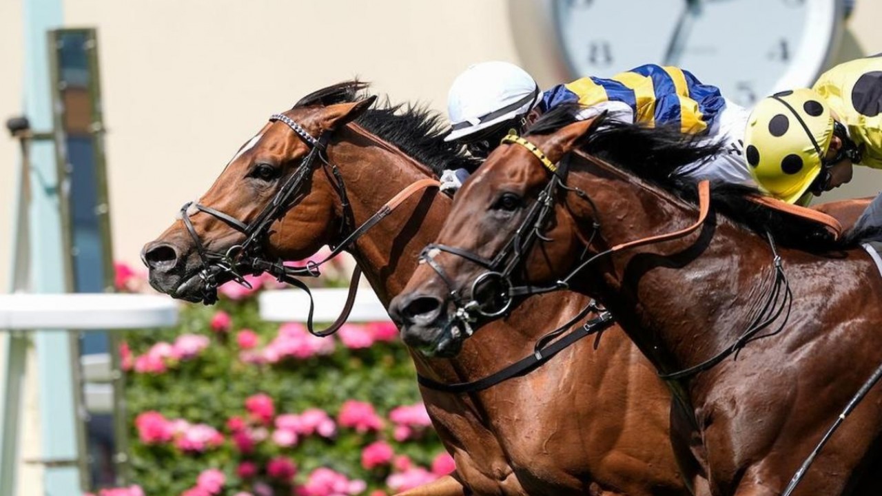 Docklands Delivers Group One Glory For Eustace Image 1