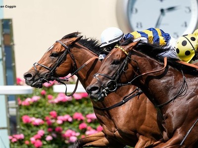 Docklands Delivers Group One Glory For Eustace Image 1