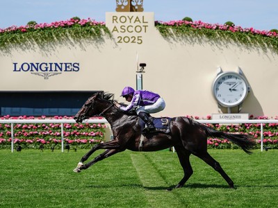 Gstaad Powers Home In Coventry Image 1