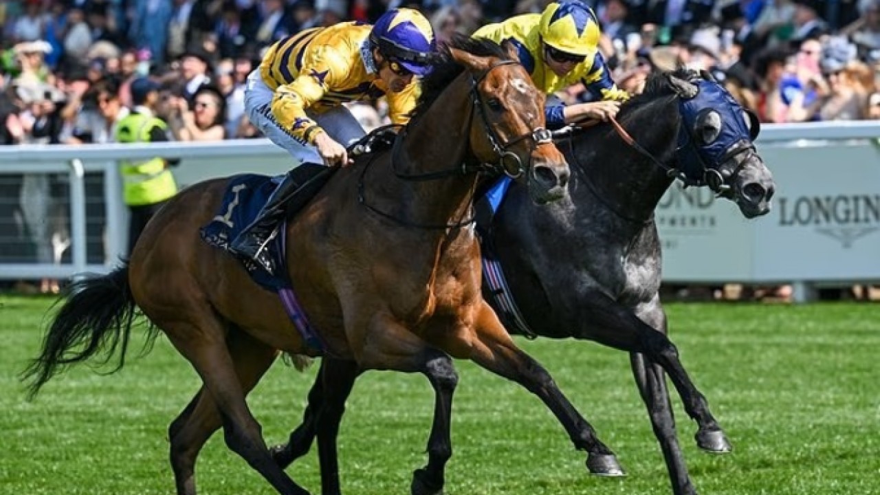 American Affair Delivers Breakthrough Royal Ascot Triumph Image 1