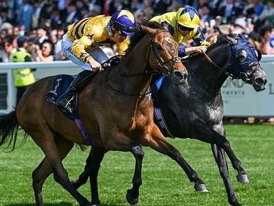 American Affair Delivers Breakthrough Royal Ascot Triumph Image 1