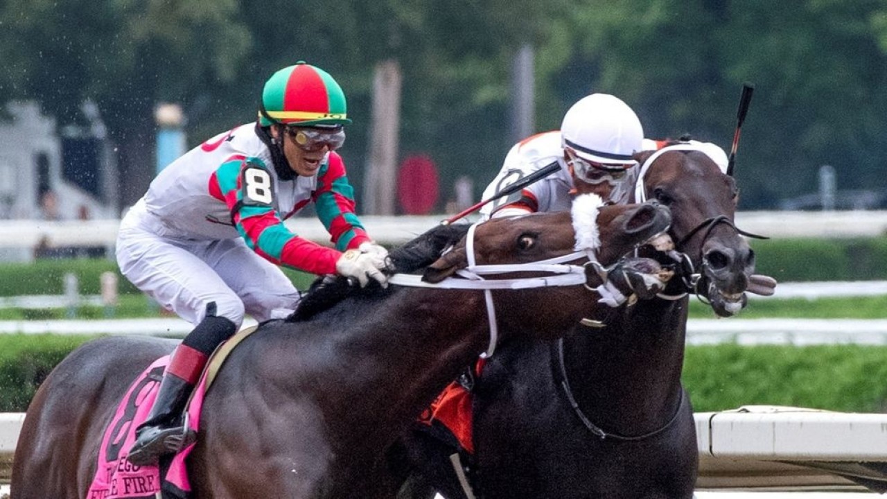Yaupon Progeny Commands Strong Market Interest Image 1