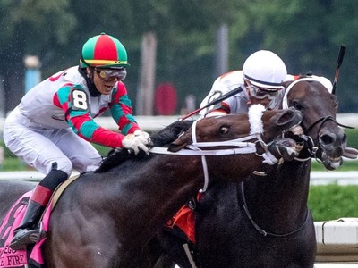 Yaupon Progeny Commands Strong Market Interest Image 1