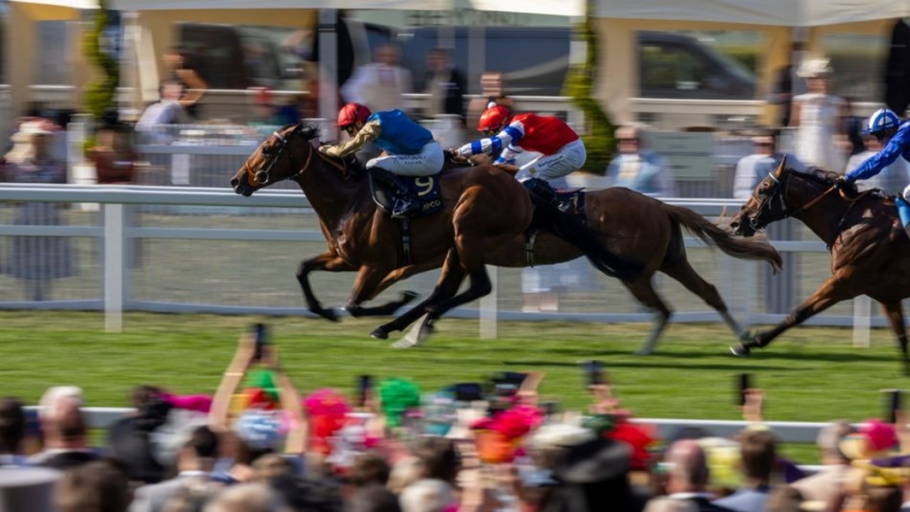 Haatem Shows Class In Wolferton Stakes Victory Image 1