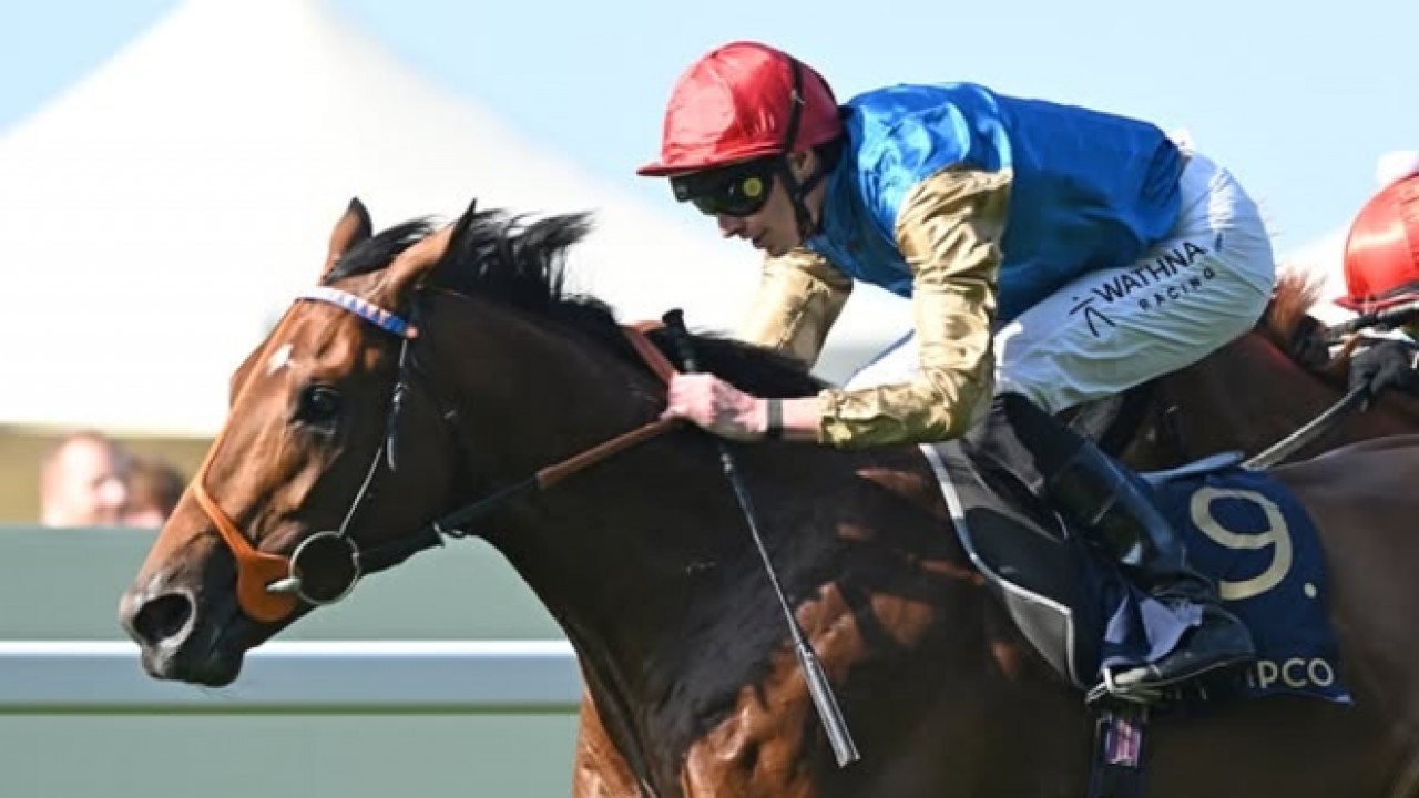 Wathnan Racing Claims Victory In Ascot Feature Image 1