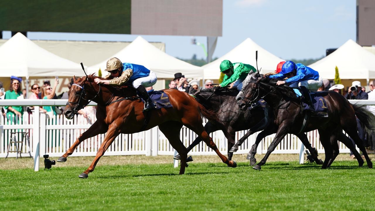 Crimson Advocate Powers To Impressive Victory Image 1