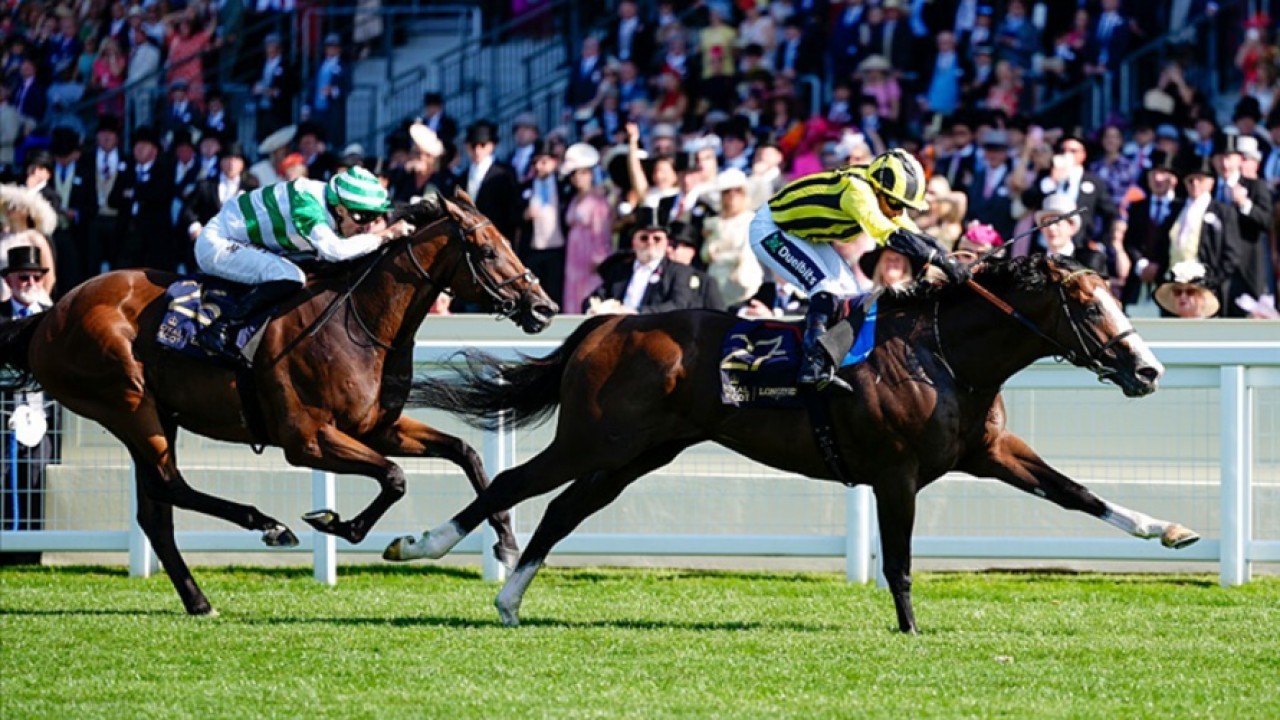 My Cloud Claims Royal Hunt Cup Glory Image 1