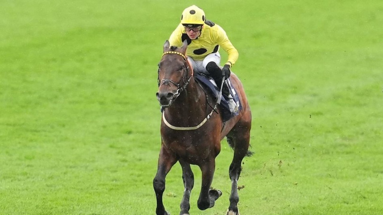 Race 3 - Duke Of Edinburgh Stakes (Handicap) Image 1