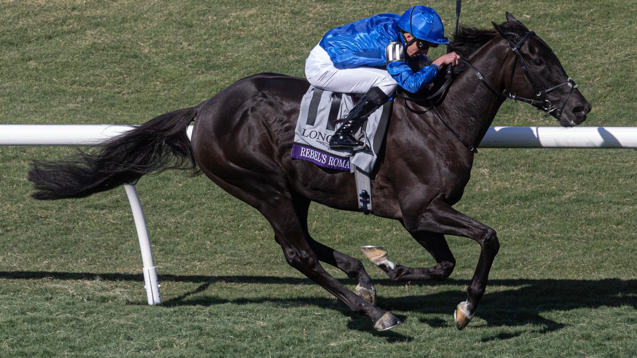 Breeders' Cup Berths Up For Grabs Image 1