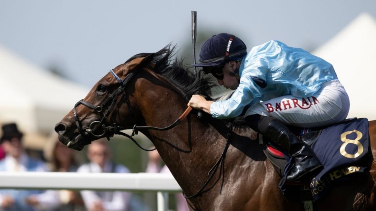 Merchant Storms To Memorable King George V Stakes Triumph Image 1