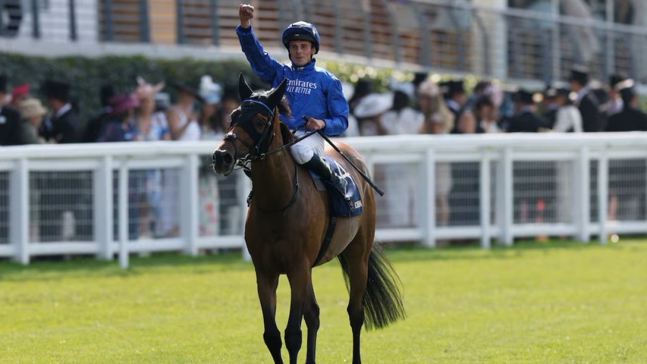 Trawlerman Storms To Emphatic Gold Cup Victory Image 1