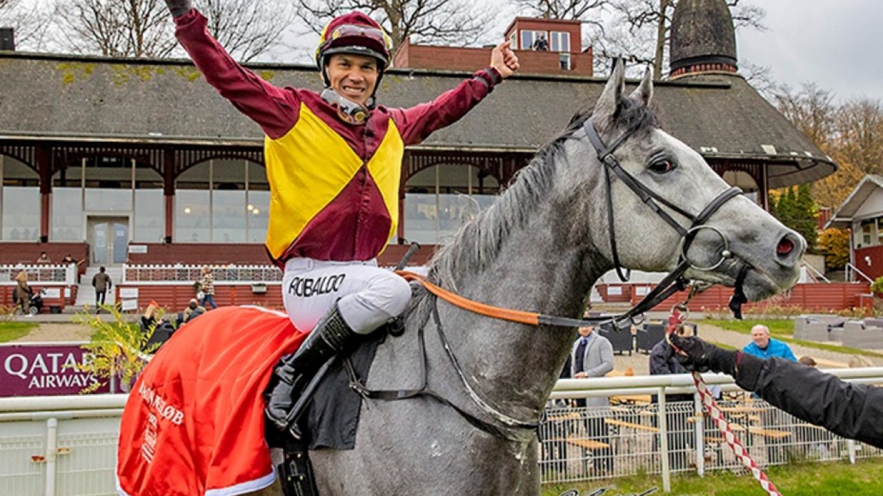 Bent Olsen Primes Pjerrott For UAE 2000 Guineas, And Aims ... Image 1