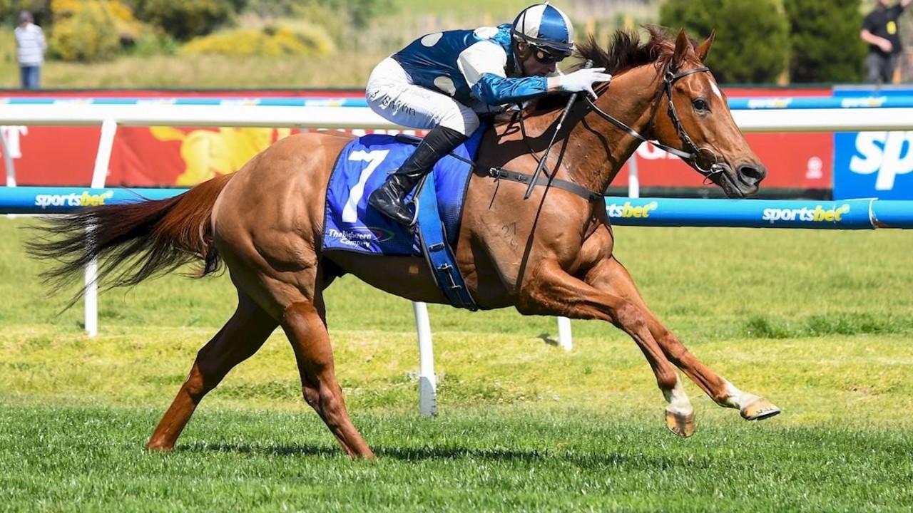 Jimmysstar (Photo Supplied)