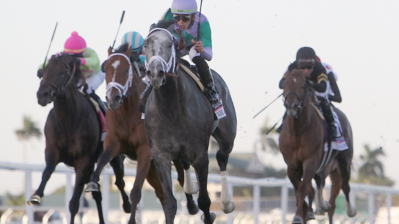 Pletcher Aims For First Dubai World Cup Title Image 2