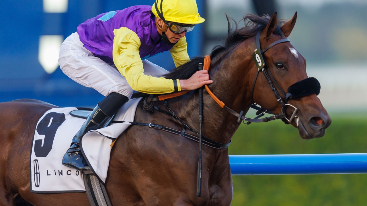 Magic eight World Cup squad for Champion Trainer-elect ... Image 3